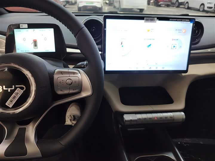 BYD Dolphin 2025 2025款 420km 自由版