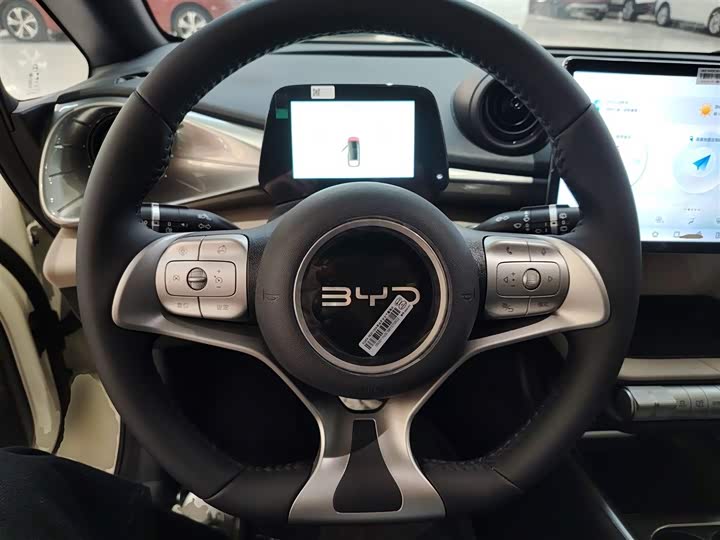 BYD Dolphin 2025 2025款 420km 自由版