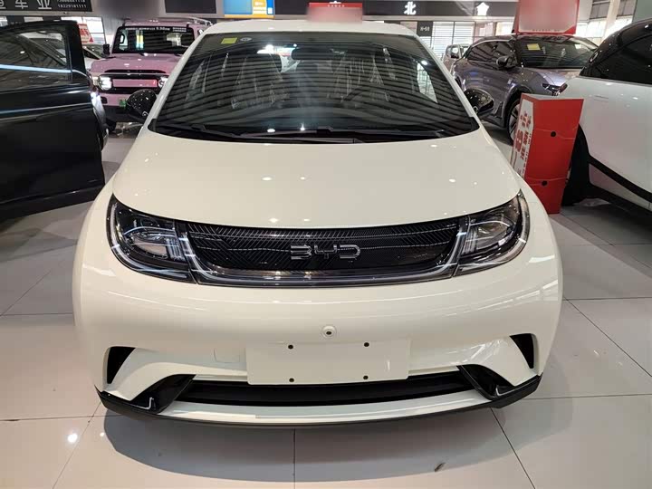 BYD Dolphin 2025 2025款 420km 自由版