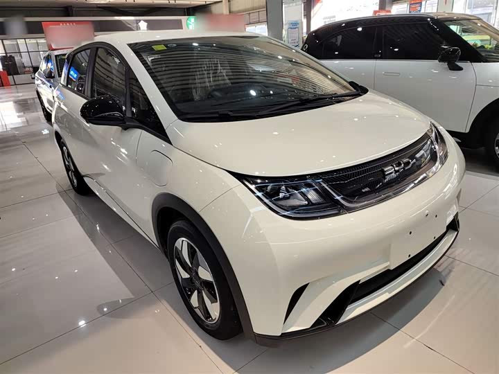 BYD Dolphin 2025 2025款 420km 自由版