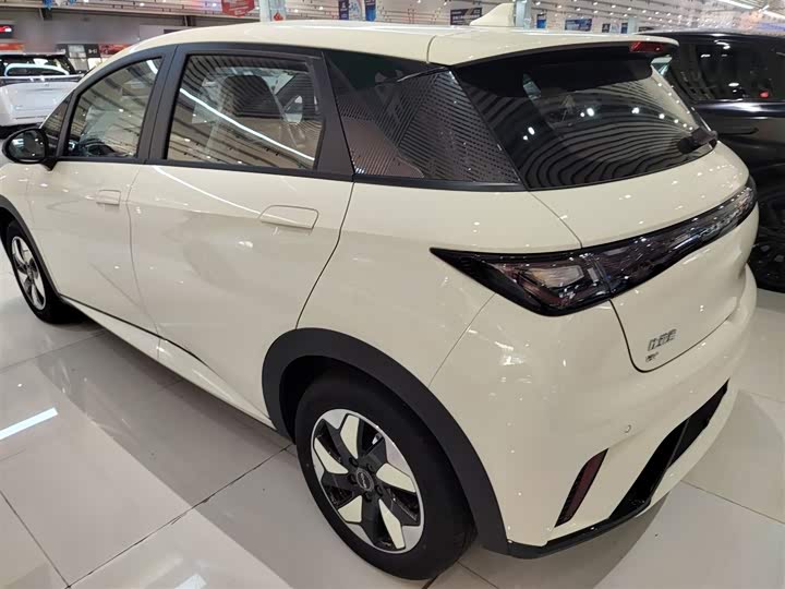 BYD Dolphin 2025 2025款 420km 自由版