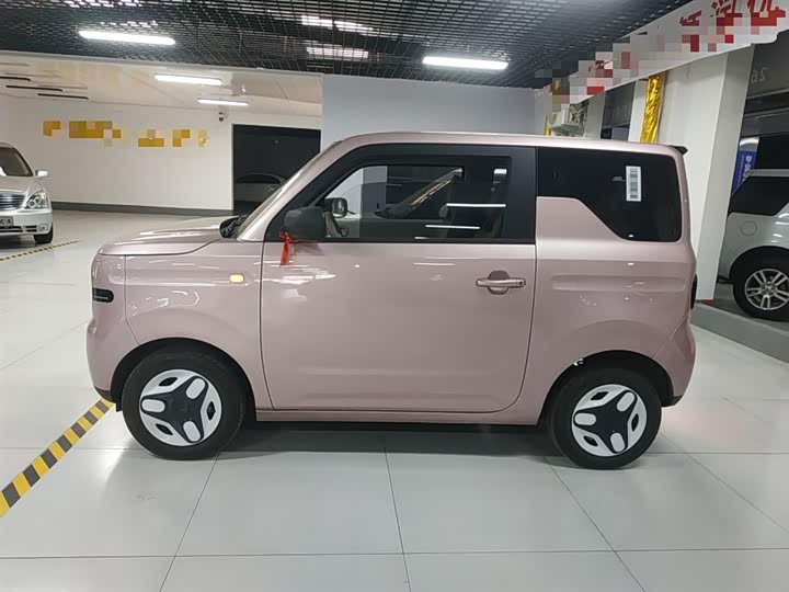 Geely Galaxy Panda Mini 2025 2025款 熊猫mini 210km 元气熊