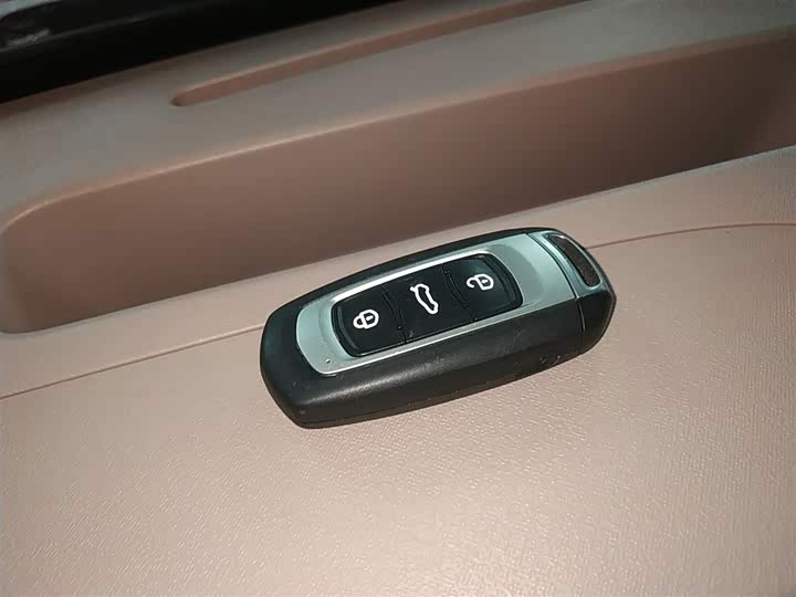 Geely Galaxy Panda Mini 2025 2025款 熊猫mini 210km 元气熊