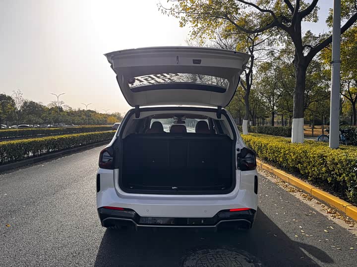 BMW iX3 2024 2024款 领先型