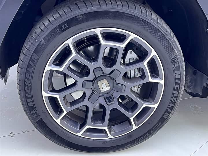 Tank 700 Hybrid 2024 2024款 Hi4-T 极境版