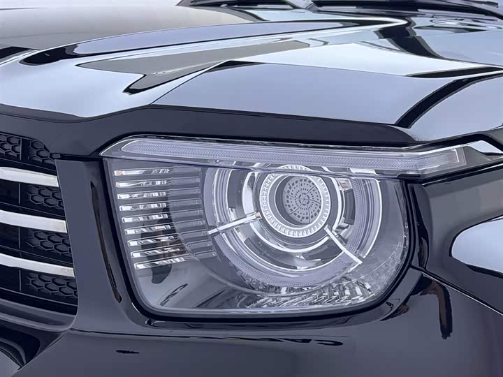 Tank 700 Hybrid 2024 2024款 Hi4-T 极境版