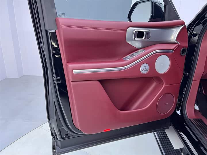 Tank 700 Hybrid 2024 2024款 Hi4-T 极境版