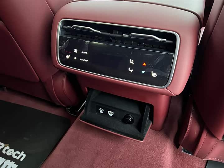 Tank 700 Hybrid 2024 2024款 Hi4-T 极境版