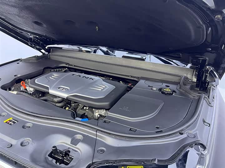 Tank 700 Hybrid 2024 2024款 Hi4-T 极境版