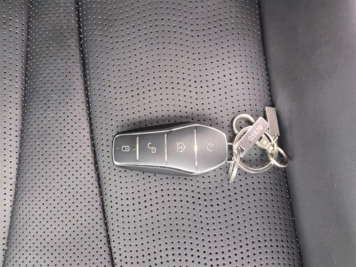 BYD Sea Lion 05 EV 2025 2025款 520KM智航版