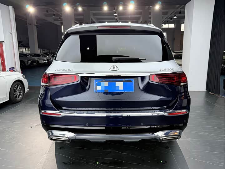 Mercedes-Benz Maybach GLS 2022 2022款 GLS 480 4MATIC
