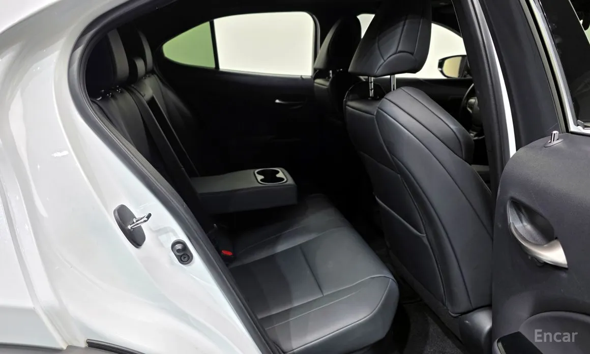 Lexus UX 2019 2.0 F-Sport 2WD