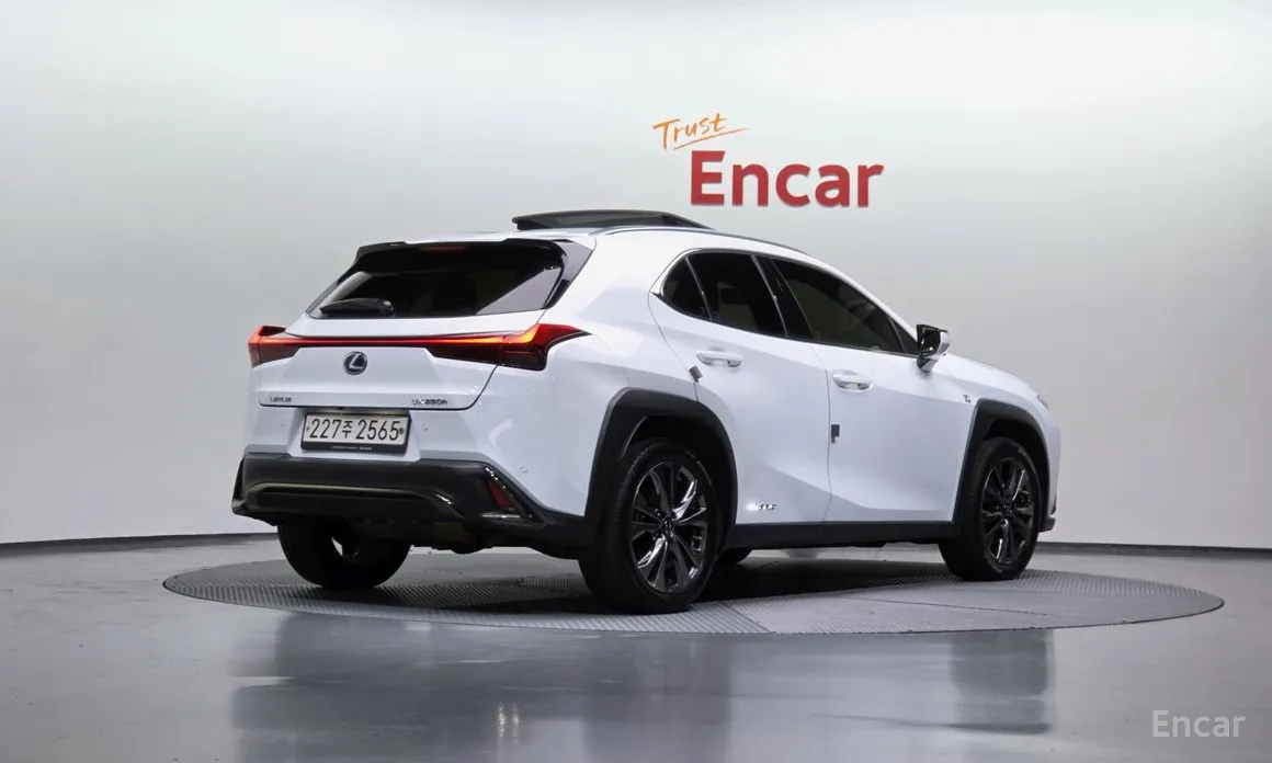 Lexus UX 2019 2.0 F-Sport 2WD