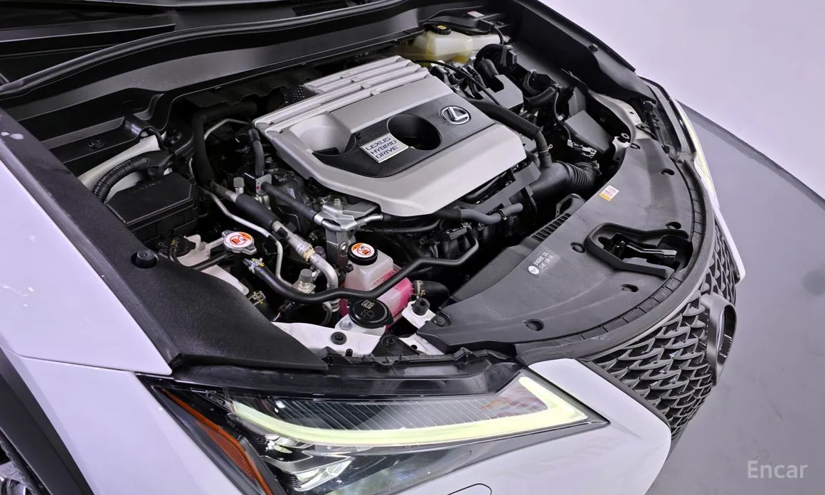 Lexus UX 2019 2.0 F-Sport 2WD