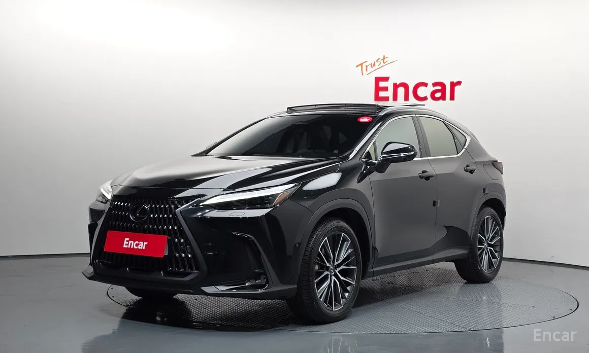 Lexus NX 2022 Luxury