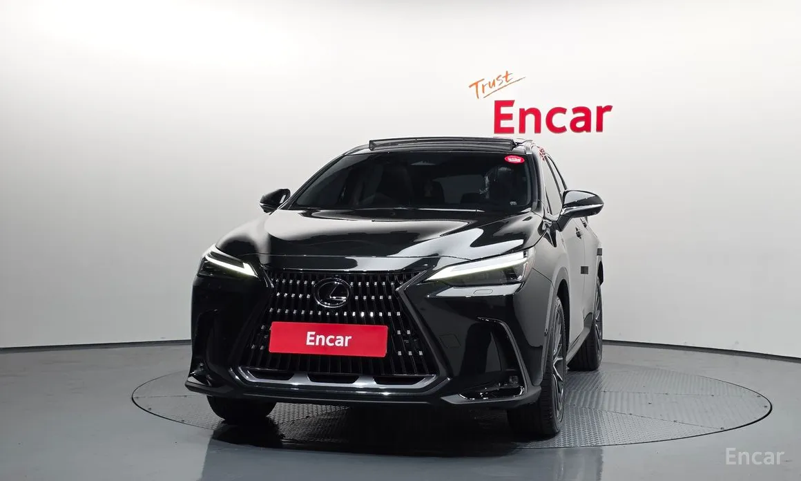 Lexus NX 2022 Luxury