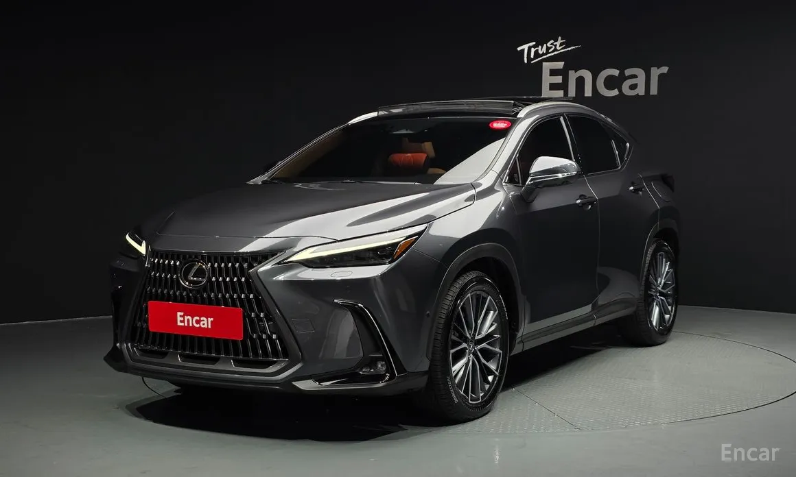 Lexus NX 2022 Luxury