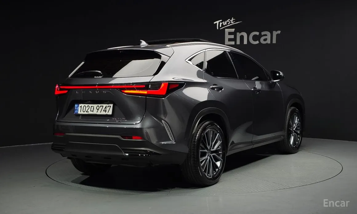 Lexus NX 2022 Luxury