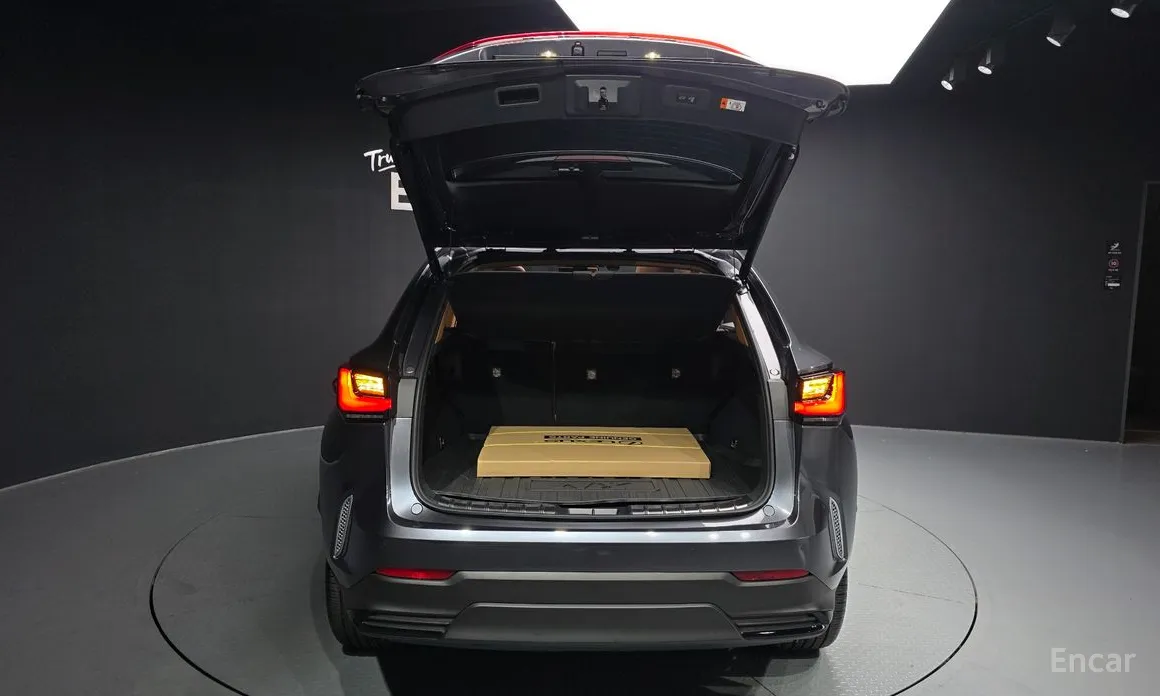 Lexus NX 2022 Luxury