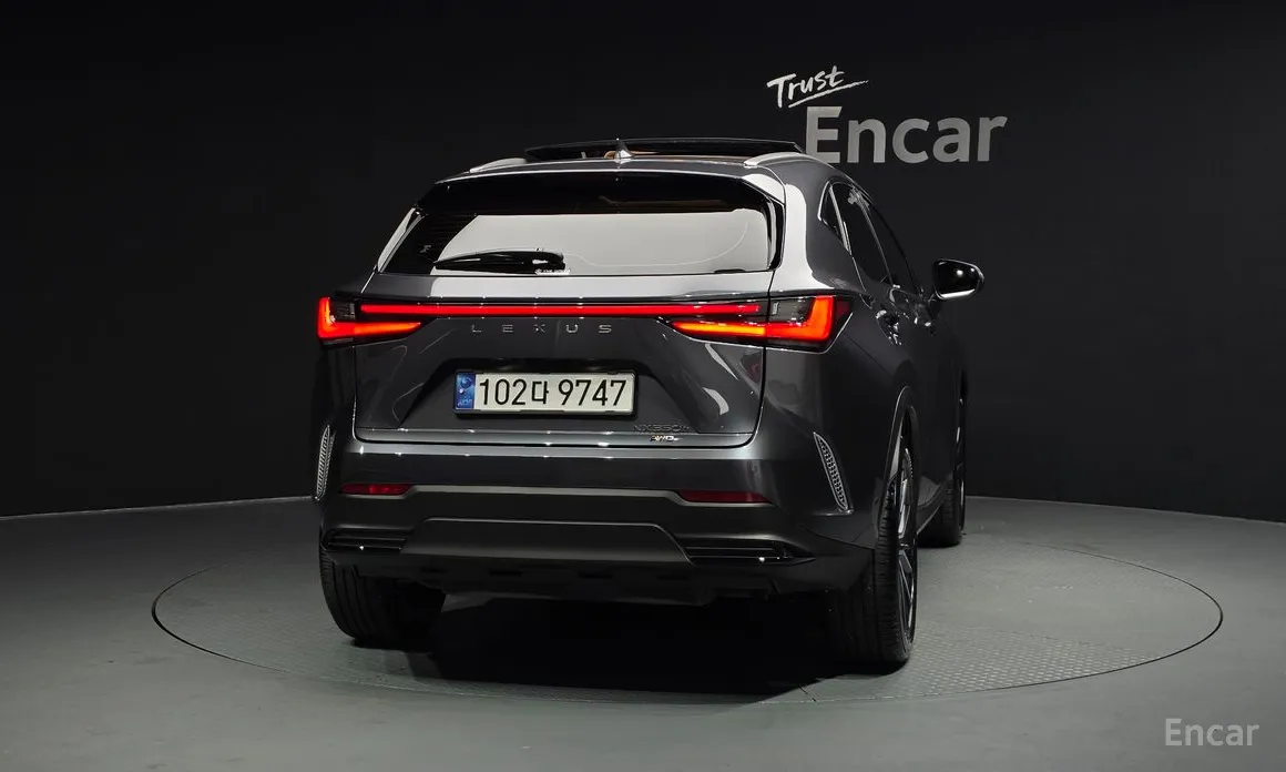 Lexus NX 2022 Luxury