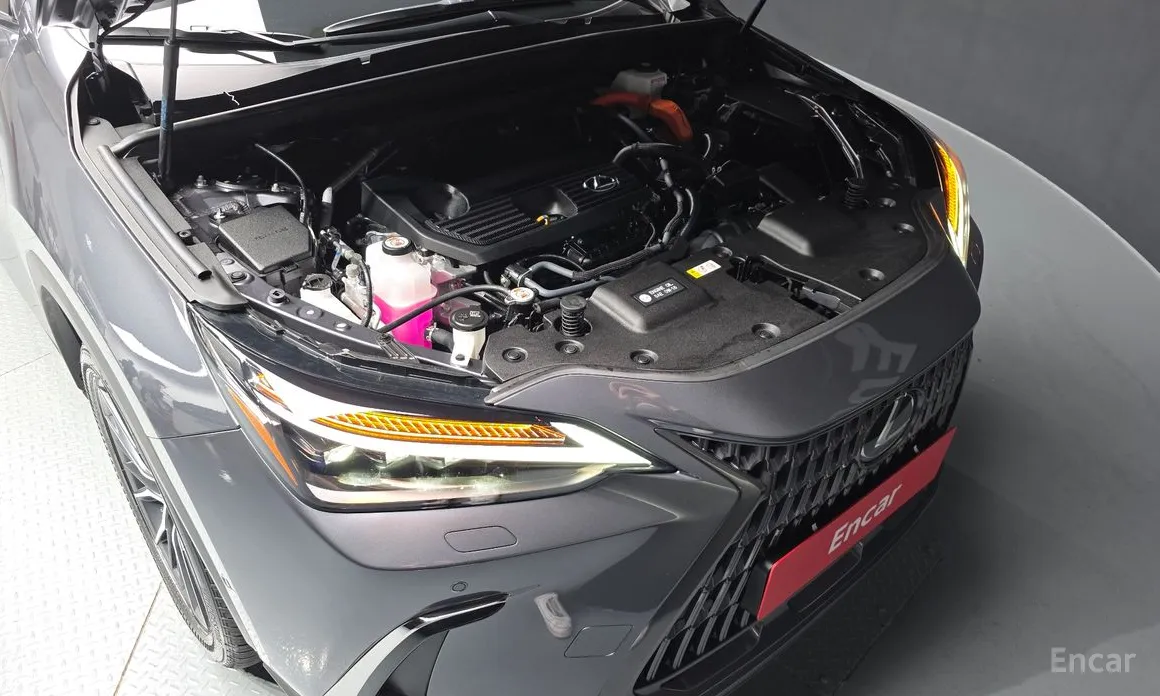 Lexus NX 2022 Luxury