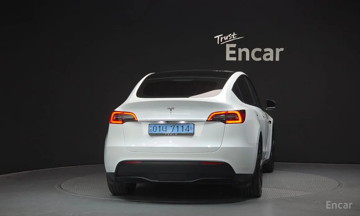 Tesla Model Y 2020 RWD