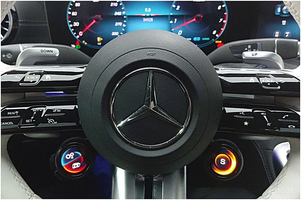 Mercedes-Benz AMG GT 2014 4Door 43 4MATIC+ Special Edition