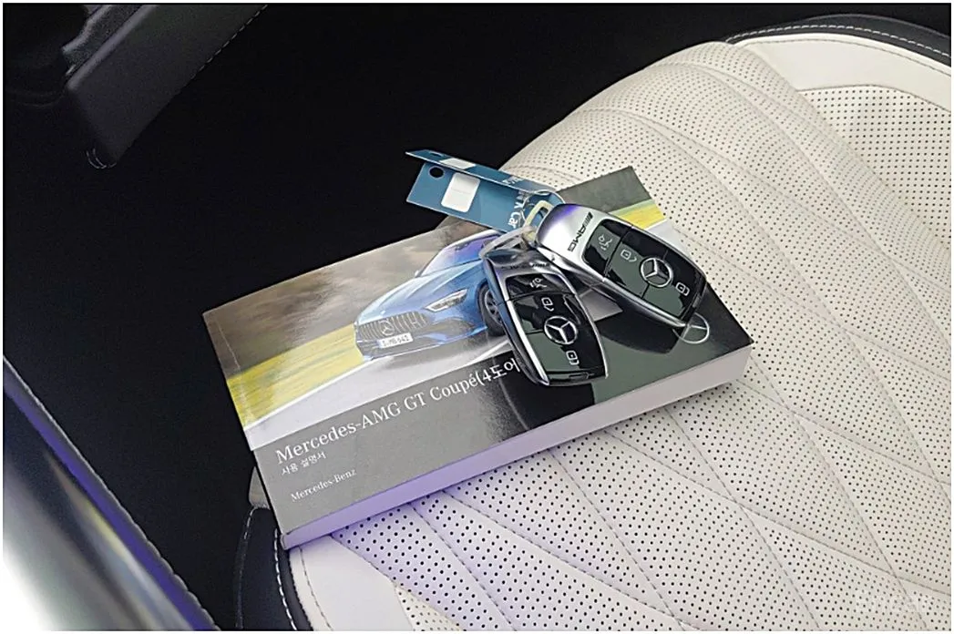 Mercedes-Benz AMG GT 2014 4Door 43 4MATIC+ Special Edition