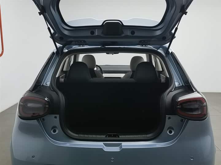 Dongfeng Nammi 01 2024 2024款 330 Lite