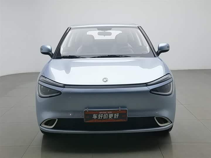 Dongfeng Nammi 01 2024 2024款 330 Lite