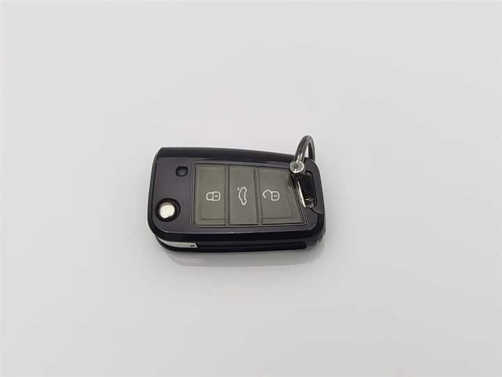 Volkswagen T-Roc 2023 2023款 300TSI DSG两驱辰光版