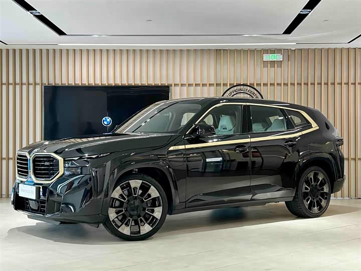 BMW XM 2023 2023款 基本型