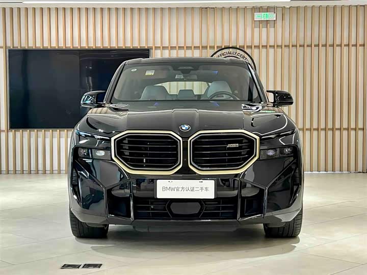 BMW XM 2023 2023款 基本型