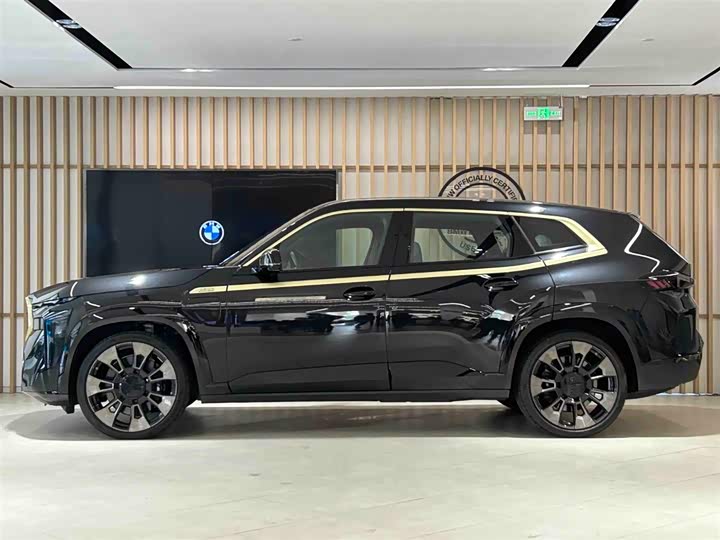 BMW XM 2023 2023款 基本型
