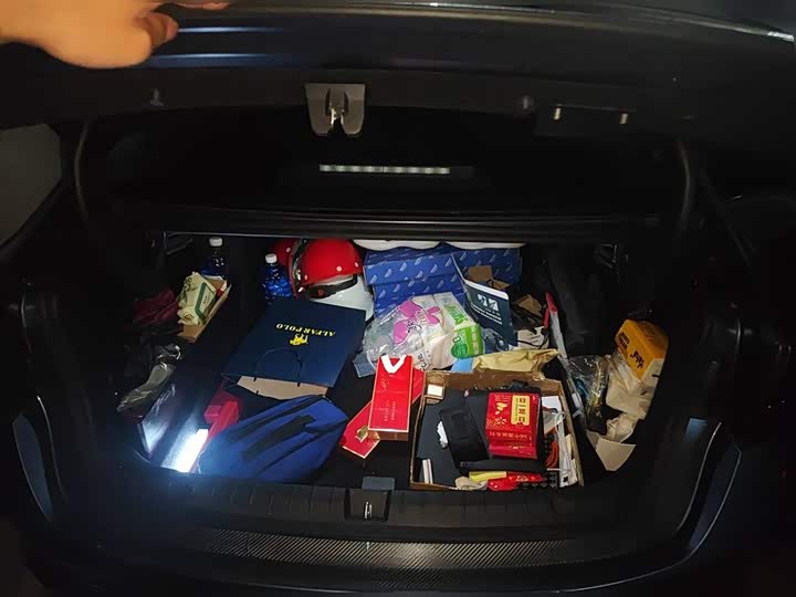 BYD Qin Plus 2025 2025款 EV 智驾版 510KM领先型