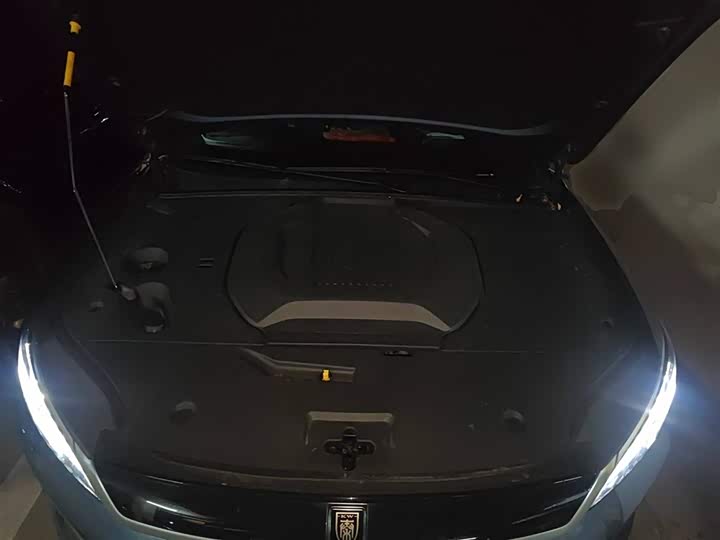 BYD Qin Plus 2025 2025款 EV 智驾版 510KM领先型