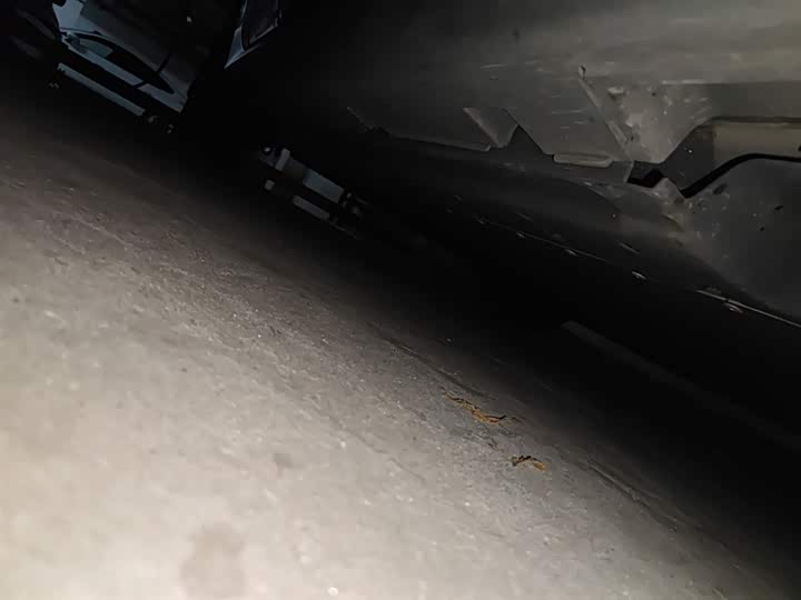 BYD Qin Plus 2025 2025款 EV 智驾版 510KM领先型