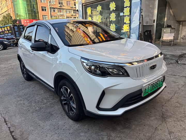 Geely Geometry EX3 2021 2021款 功夫牛牛