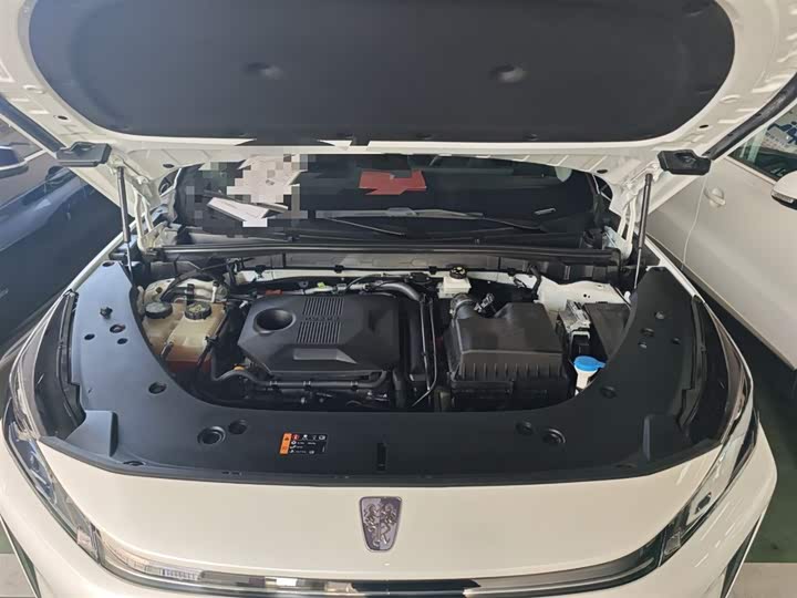 Roewe D5X DMH 2024 2024款 135科技版