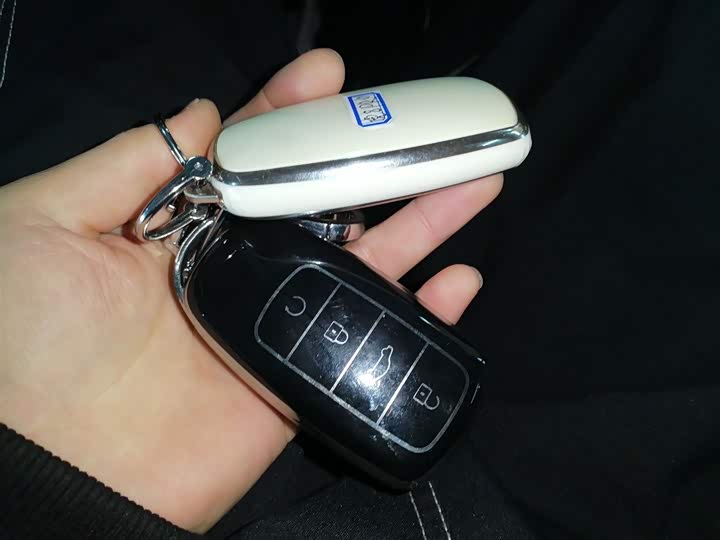 Chery Tiggo 8 Pro 2024 2024款 冠军版 390T 两驱巅峰版 5座