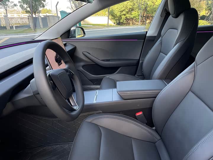 Tesla Model 3 2025 2025款 后轮驱动版