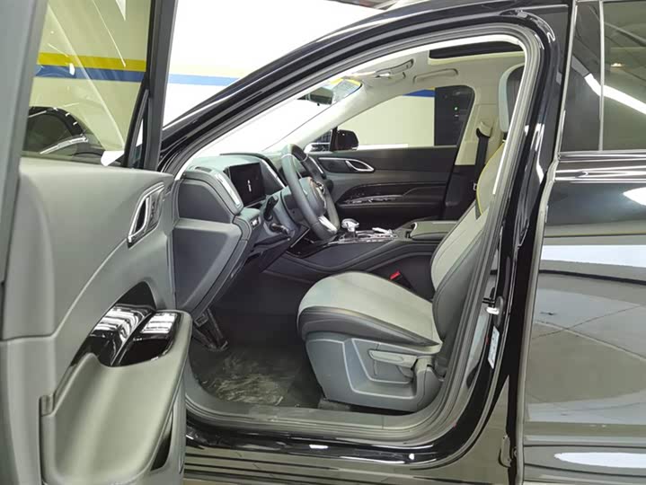 Hongqi HS3 2024 2024款 1.5T 志为版