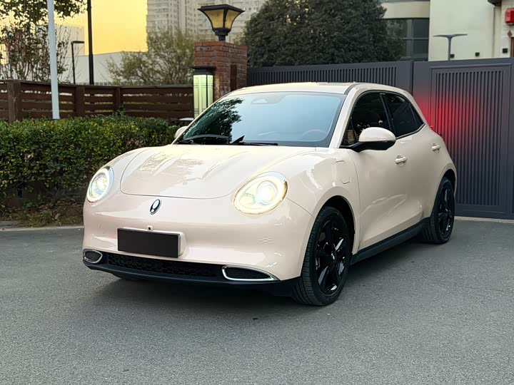 Ora Good Cat (03) 2024 2024款 401km 豪华型