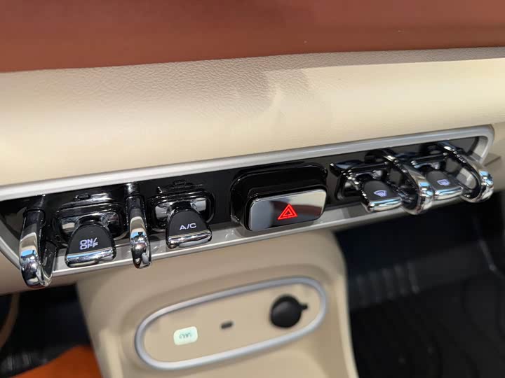 Ora Good Cat (03) 2024 2024款 401km 豪华型