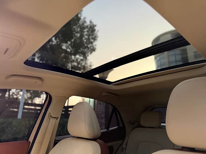 Ora Good Cat (03) 2024 2024款 401km 豪华型