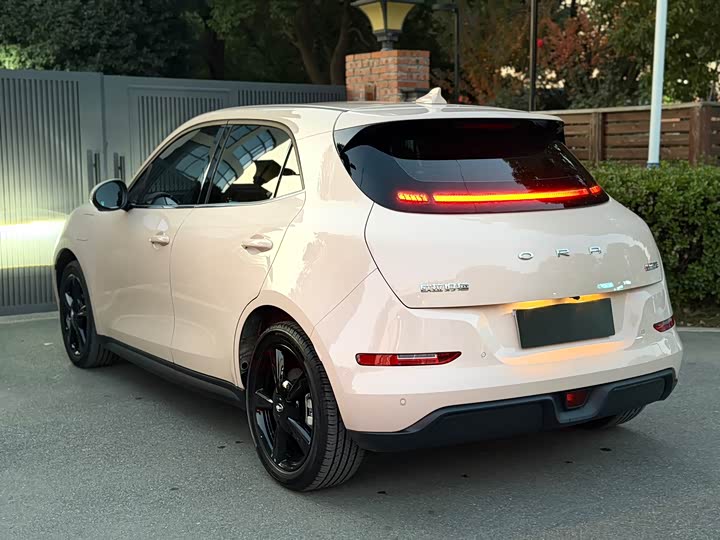 Ora Good Cat (03) 2024 2024款 401km 豪华型