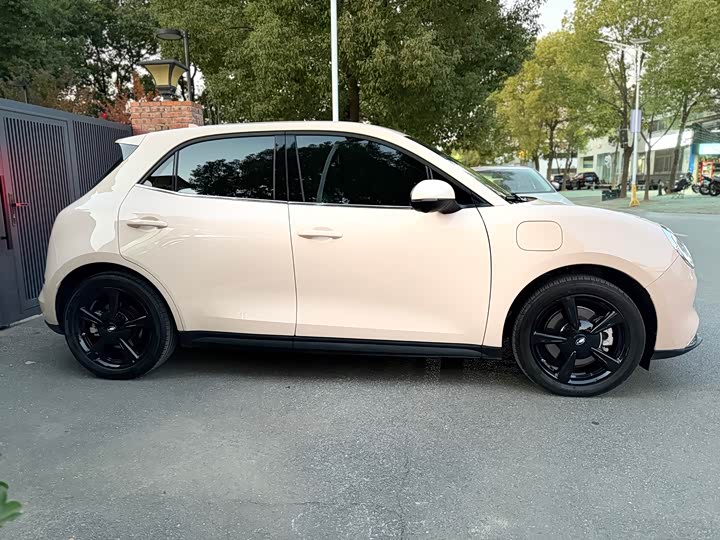 Ora Good Cat (03) 2024 2024款 401km 豪华型