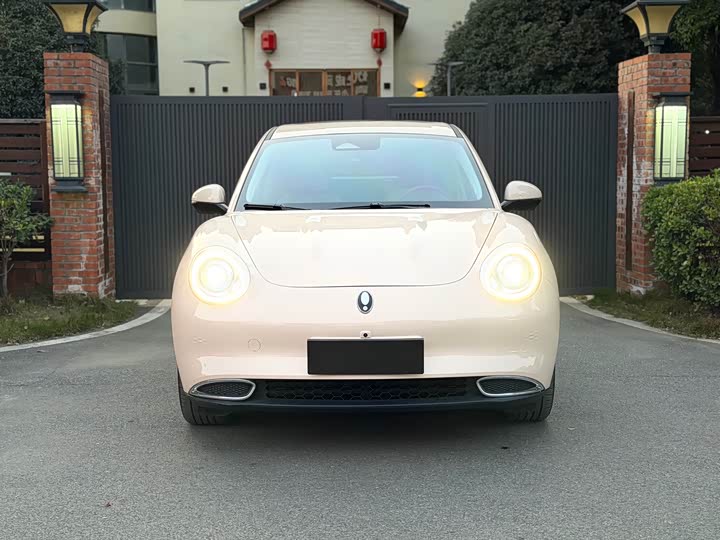 Ora Good Cat (03) 2024 2024款 401km 豪华型