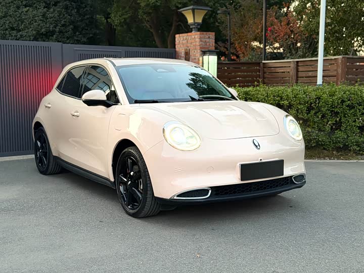 Ora Good Cat (03) 2024 2024款 401km 豪华型