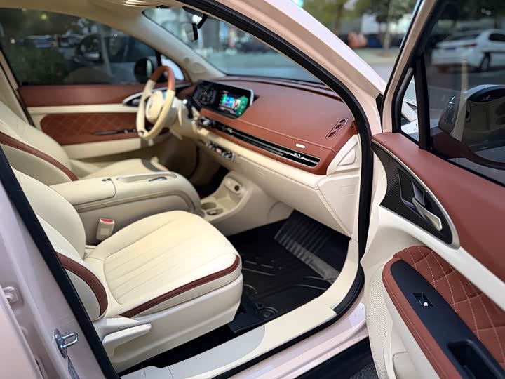 Ora Good Cat (03) 2024 2024款 401km 豪华型